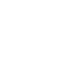 Strenght And Health Institute Logo
